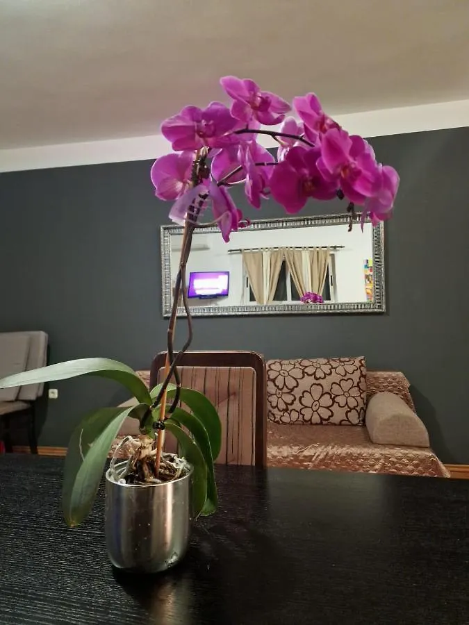 Apartments Poretti For 2,In Center Parking Free In The Yard,6 Min Beach Walk Rovigno Croazia