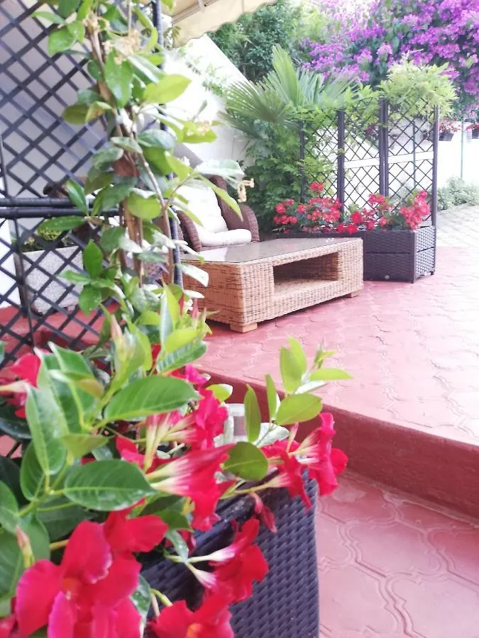 Apartments Poretti For 2,In Center Parking Free In The Yard,6 Min Beach Walk Rovinj Kroatien