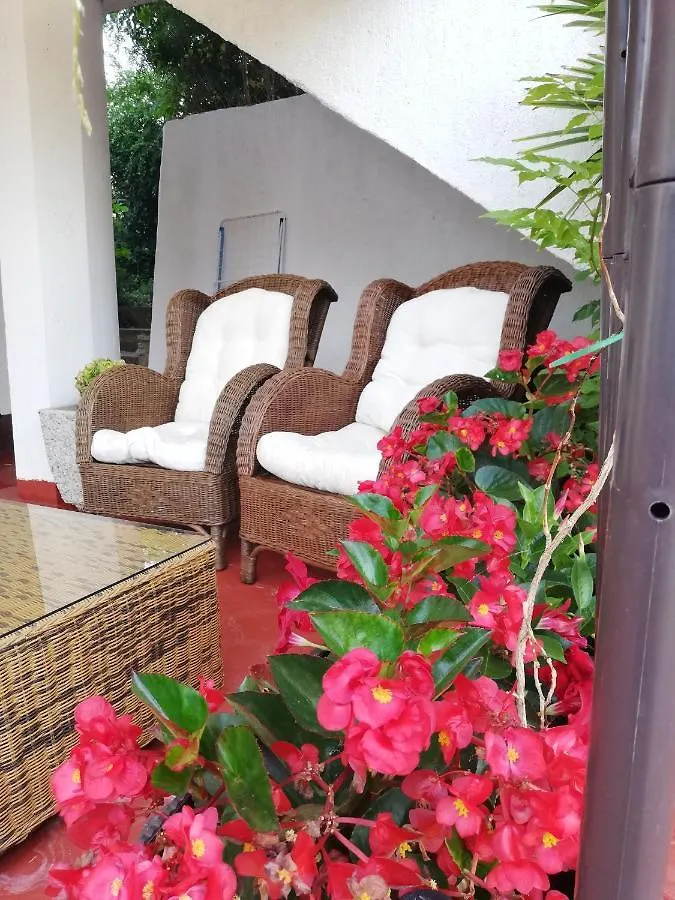 Apartments Poretti For 2,In Center Parking Free In The Yard,6 Min Beach Walk Rovinj 0*,