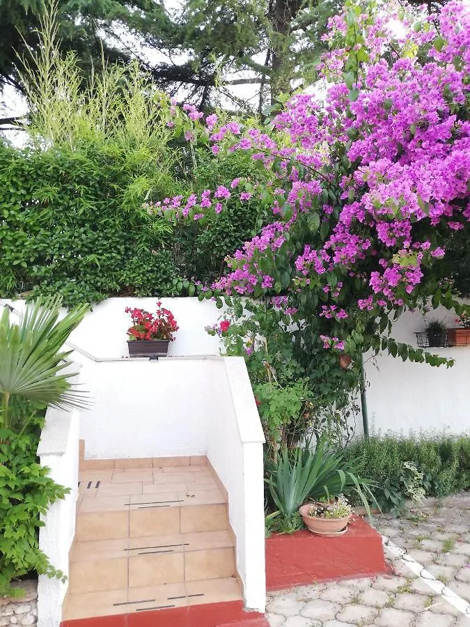 Apartments Poretti For 2,In Center Parking Free In The Yard,6 Min Beach Walk Rovinj