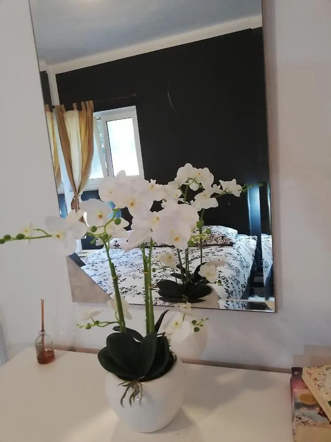 Apartments Poretti For 2,In Center Parking Free In The Yard,6 Min Beach Walk Rovigno
