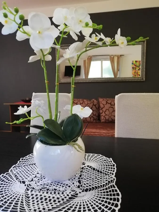 Apartments Poretti For 2,In Center Parking Free In The Yard,6 Min Beach Walk Rovinj 0*,