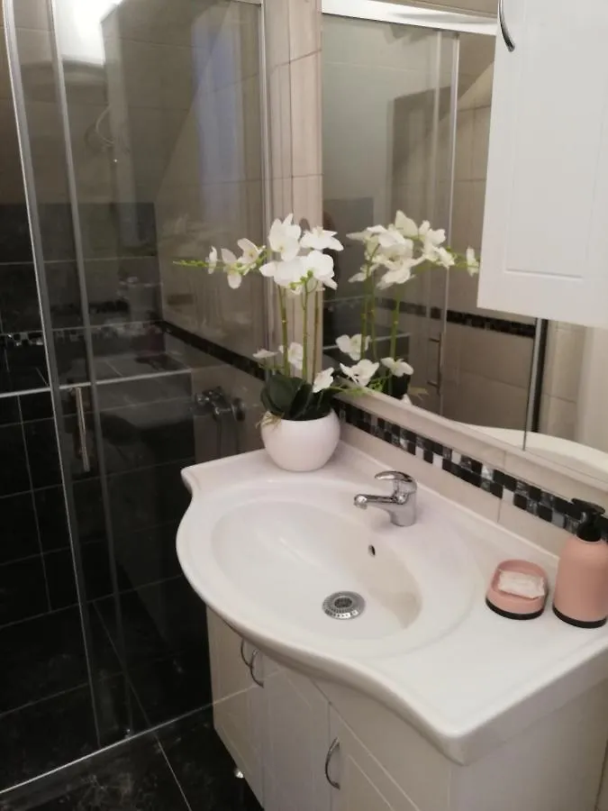 Apartments Poretti For 2,In Center Parking Free In The Yard,6 Min Beach Walk Rovigno 0*,  Croazia