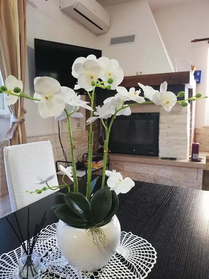 Apartments Poretti For 2,In Center Parking Free In The Yard,6 Min Beach Walk Rovinj